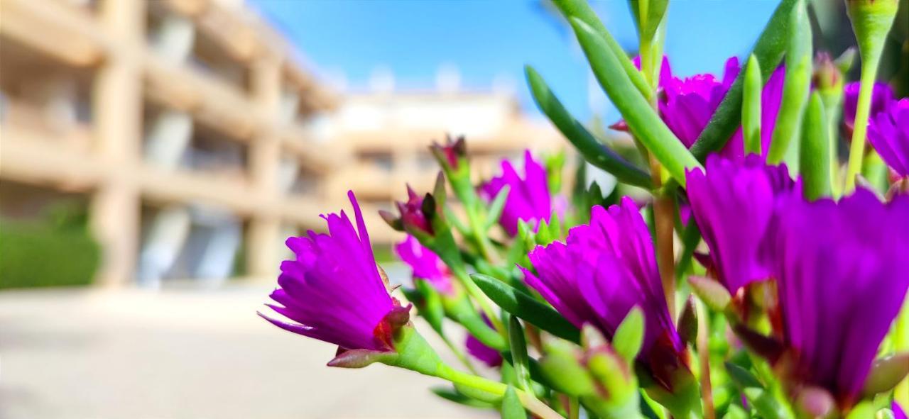 Apartmán Apartamento Playa Sur By Denia Costa Exteriér fotografie